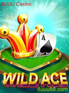 Descubra o Mundo do WildAce: Um Olhar Detalhado